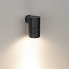 картинка Arlight Светильник настенный  033309