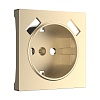 картинка WERKEL Накладка для USB розетки (шампань) W1179511