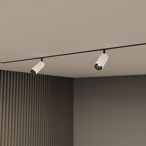 картинка Трековый светильник Denkirs DK8040-BW+BK