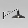 картинка TK Lighting Настенный светильник 10437
