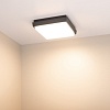 картинка Arlight Накладной уличный светильник  029951