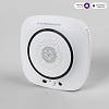 картинка Elektrostandard Умный датчик газа 76250/00