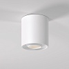 картинка Elektrostandard Накладной потолочный светильник 25041/LED