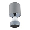 картинка LUMION 8181/1T MODERNI LN26 501 серый, керамика/текстиль Настольная лампа E14 1*40W 220V LALANA