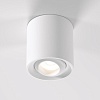 картинка Elektrostandard Накладной потолочный светильник 25041/LED