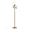 картинка ODEON LIGHT 5431/12FL L-VISION ODL_EX25 095 золотой(под латунь)/белый градиент/беж./зеленый/ металл/