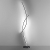 картинка LUMION 5693/24FL LEDIO LN26 470 чёрный Торшер с ПДУ LED 24W 3000-6000K 220V NYX