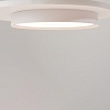 картинка Maytoni Потолочный светильник Инкогнито / Incognito 2700-4000К 35Вт