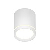 картинка Denkirs Точечный накладной светильник  DK4016-WH