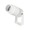 картинка Arlight Прожектор  042677(1)