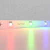 картинка Maytoni Светодиодная лента 24В 5050 7,2Вт/м Цветная (RGB) 5м IP20