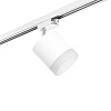 картинка Lightstar Комплект со светильником Rullo Rullo  R1T348680