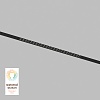 картинка Denkirs Трековый светильник  DK8002-BK