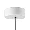 картинка Lightstar Подвес Disco  792110
