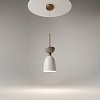 картинка Maytoni Подвесной светильник Клош / Cloches E14х1