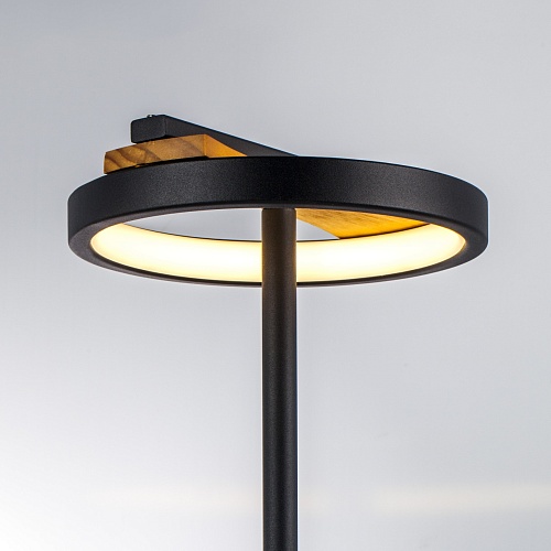 картинка Lightstar Настольная лампа Lodi  723927