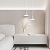 картинка Elektrostandard Подвесной светильник Plate 50260 LED
