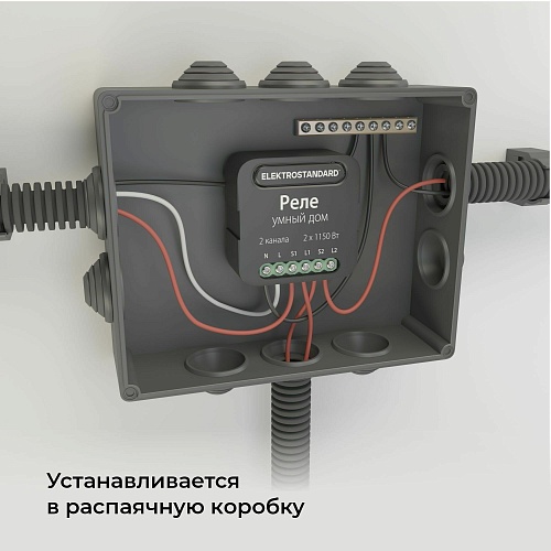 картинка Elektrostandard Умное двухканальное реле 76007/00