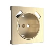 картинка WERKEL Накладка  для розетки USB (шампань рифленый) W1179510