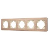картинка Arlight Рамка  049736