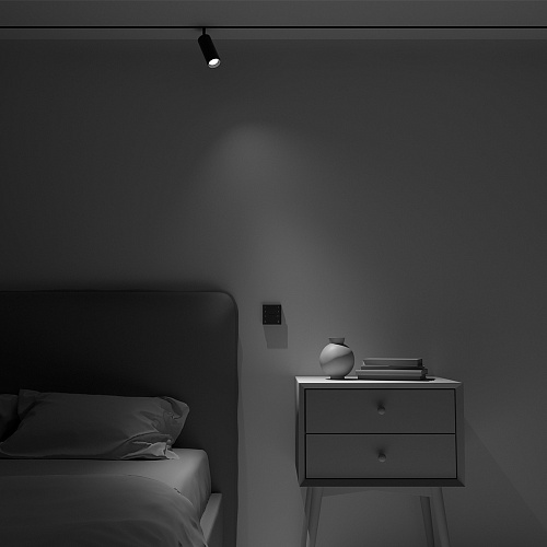 картинка Maytoni Беспроводная панель управления освещением Комбинированная (MIX)