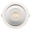 картинка Arlight Встраиваемый светильник  025143(1)