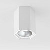 картинка Elektrostandard Накладной светодиодный светильник 25036/LED