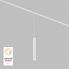 картинка Denkirs Трековый светильник  DK8008-WH