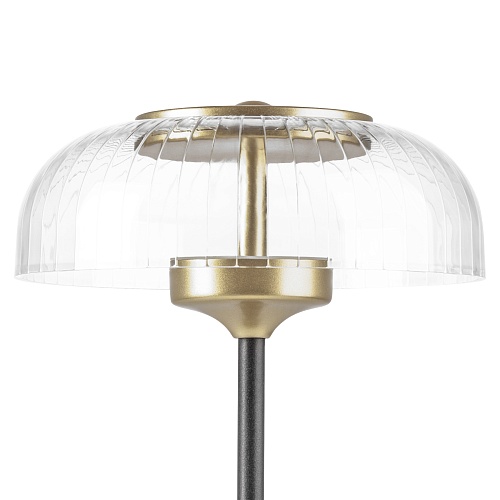 картинка Lightstar Настольная лампа Acrile  738973