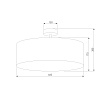 картинка TK Lighting Потолочный светильник 4245 Rondo Black