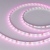 картинка Arlight Лента  013571(2)