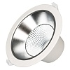 картинка Arlight Встраиваемый светильник  025143(1)