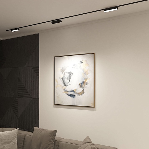 картинка Denkirs Трековый светильник  DK8009-BK