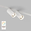 картинка Denkirs Трековый светильник  DK8012-WH