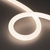 картинка Arlight Гибкий неон  038866