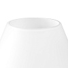 картинка Lightstar Настольная лампа Meringe  801900