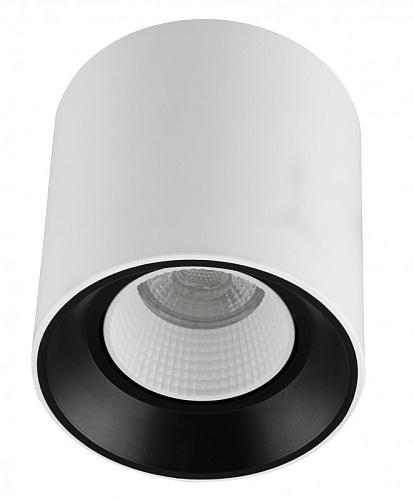 картинка Denkirs Точечный накладной светильник  DK3090-WB+WH