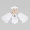 картинка TK Lighting Потолочный светильник 665 Vaio 3
