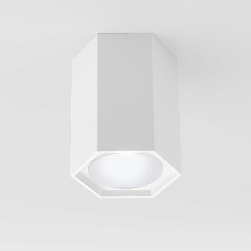 картинка Elektrostandard Накладной светодиодный светильник 25037/LED