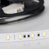 картинка Arlight Лента  015286