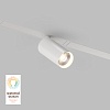 картинка Denkirs Трековый светильник  DK8010-WH