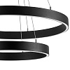 картинка Lightstar Люстра подвесная Saturno  748117