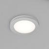 картинка Denkirs Влагозащищенный светильник  DK3012-AL