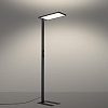 картинка NOVOTECH 359974 LEDO NT26 000 (В 2-х КОРОБКАХ) черный Торшер светодиодный диммир. полного спектра IP