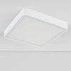 картинка Elektrostandard Накладной потолочный светодиодный светильник DLS034 18W 4200K