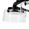 картинка Lightstar Люстра подвесная Fico II  740167