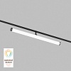 картинка Denkirs Трековый светильник  DK8065-BK