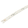 картинка Arlight Лента  027653