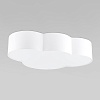 картинка TK Lighting Потолочный светильник 1533 Cloud