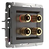 картинка WERKEL Акустическая розетка (графит рифленый) W1185004